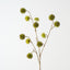Happy Tree Pod Spray (Set of 6)