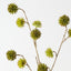 Happy Tree Pod Spray (Set of 6)