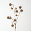 Happy Tree Pod Spray (Set of 6)