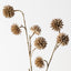 Happy Tree Pod Spray (Set of 6)
