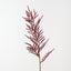 Coral Bromeliad Spray (Set of 12)
