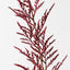 Coral Bromeliad Spray (Set of 12)