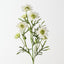 Gerbera Spray (Set of 12)