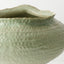 Elio Pot