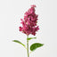 Lilac Spray (Set of 12)