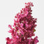 Lilac Spray (Set of 12)