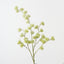Thistle Spray (Set of 12)