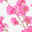 Apple Blossom (Set of 12)