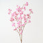 Apple Blossom (Set of 12)
