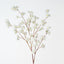Apple Blossom (Set of 12)