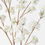 Apple Blossom (Set of 12)