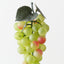 Grape Bunch (Set of 12)