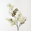 Smoke Bush Spray (Set of 12)