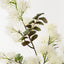 Smoke Bush Spray (Set of 12)