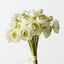 Ranunculus Bundle (Set of 6)