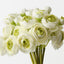 Ranunculus Bundle (Set of 6)