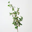 Crabapple Spray (Set of 12)