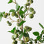 Crabapple Spray (Set of 12)
