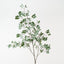 Myrtle Leaf Spray (Set of 6)