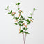 Crabapple Spray (Set of 12)