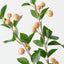 Crabapple Spray (Set of 12)