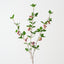 Crabapple Spray (Set of 12)