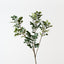 Myrtle Leaf Spray (Set of 12)