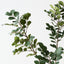 Myrtle Leaf Spray (Set of 12)