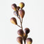 Fig Spray (Set of 12)