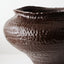 Elio Pot