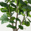 Fiddle Leaf Tree
