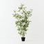Bamboo Tree (Set of 2 )
