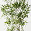 Bamboo Tree (Set of 2 )
