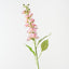Jasmine Spray (Set of 12)