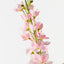 Jasmine Spray (Set of 12)