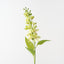 Jasmine Spray (Set of 12)