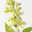 Jasmine Spray (Set of 12)
