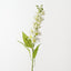 Jasmine Spray (Set of 12)