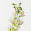 Jasmine Spray (Set of 12)