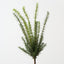 Rosemary Bush (Set of 6)