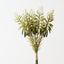 Agave Flowering Bundle (Set of 6)