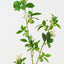 Blossom Bud Spray (Set of 12 )