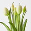 Tulip Bundle (Set of 12)