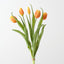 Tulip Bundle (Set of 12)
