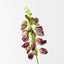 Lupine Spray (Set of 12)