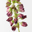 Lupine Spray (Set of 12)