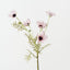 Cosmos Spray (Set of 12)