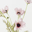 Cosmos Spray (Set of 12)