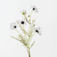 Cosmos Spray (Set of 12)