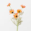 Cosmos Spray (Set of 12)